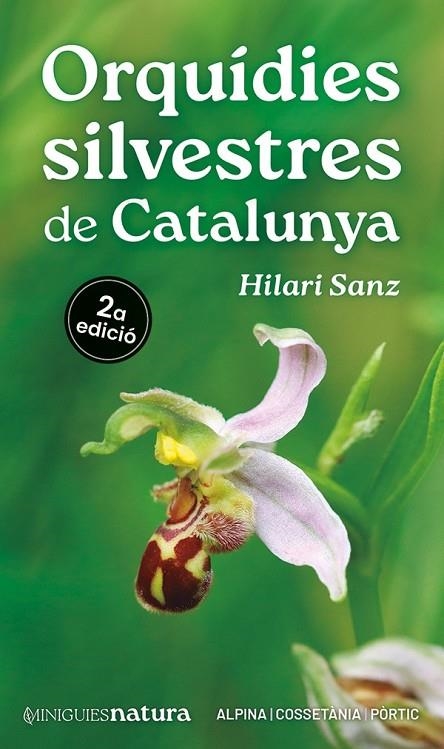 ORQUÍDIES SILVESTRES DE CATALUNYA | 9788413563688 | SANZ, HILARI