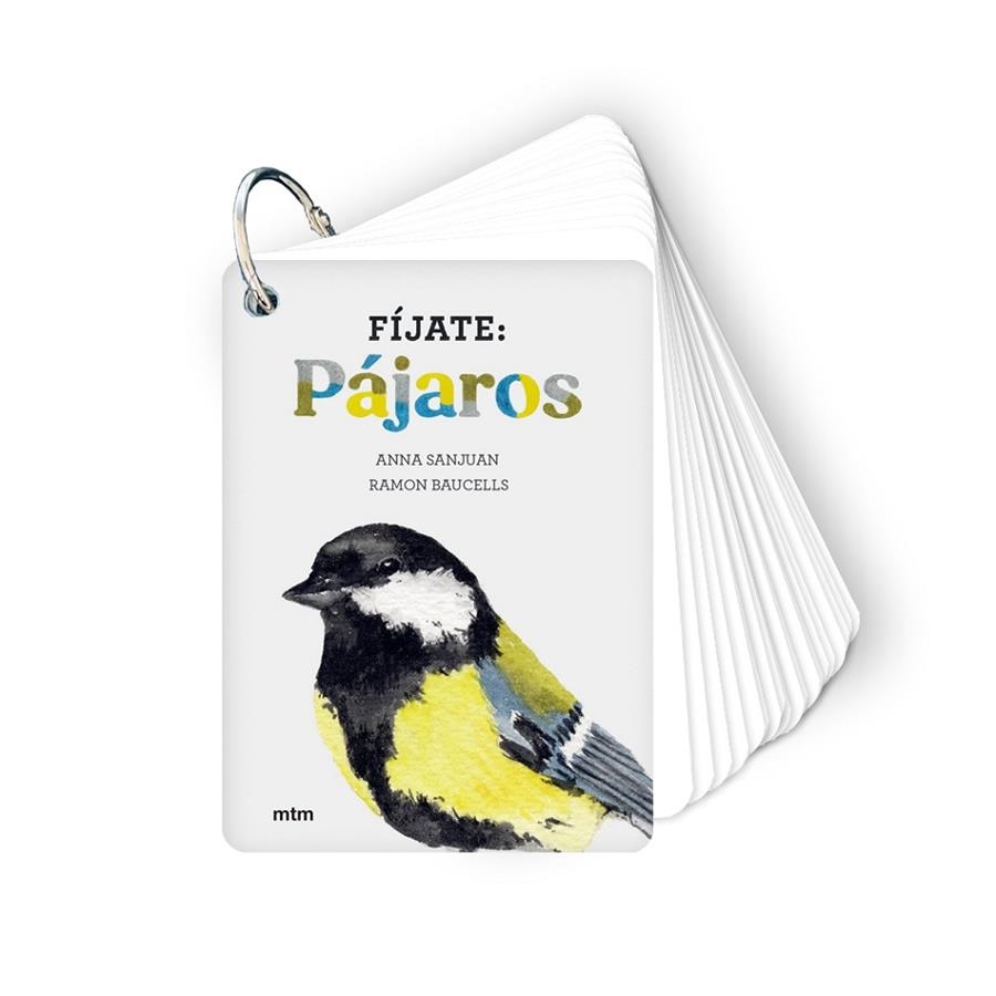 FÍJATE: PÁJAROS | 9788417165819 | VV.AA.3