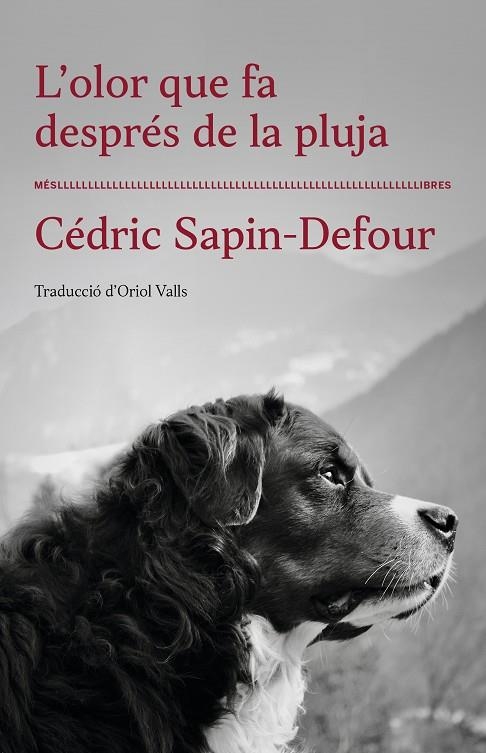 L'OLOR QUE FA DESPRÉS DE LA PLUJA | 9788417353568 | SAPIN-DEFOUR, CEDRIC