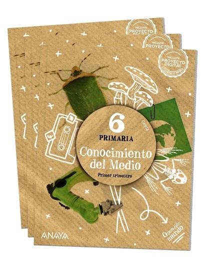CONOCIMIENTO DEL MEDIO 6 | 9788414323007 | BENÍTEZ OREA, JOSÉ KELLIAM / BUSTOS JIMÉNEZ, ANTONIO / CÁCERES MORILLO, DANIEL / CANO CARRETERO, JOS