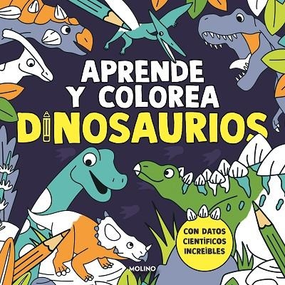 APRENDE Y COLOREA: DINOSAURIOS | 9788427245457 | AAVV