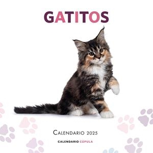 CALENDARIO GATITOS 2025 | 9788448041656 | AA. VV.