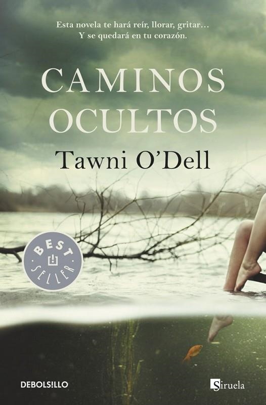 CAMINOS OCULTOS | 9788490325353 | O'DELL, TAWNI