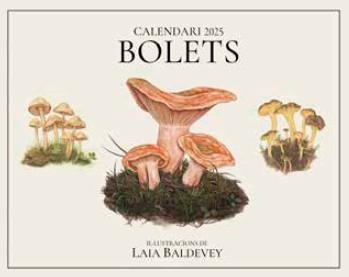 CALENDARI 2025 BOLETS | 8415001049194