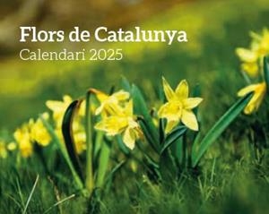 CALENDARI 2025 FLORS | 8415001047992