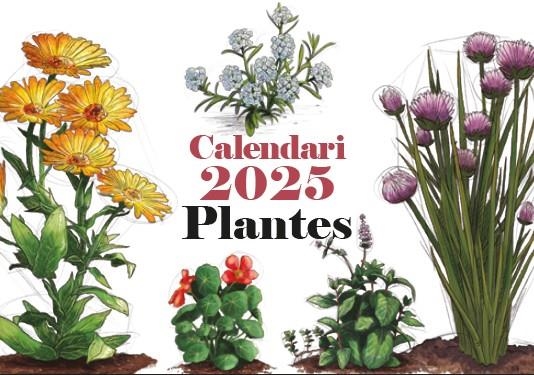 CALENDARI 2025 PLANTES DE JARDI | 8415001049217