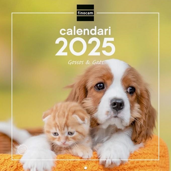 CALENDARI 2025 GOSSOS GATS | 8422952383437