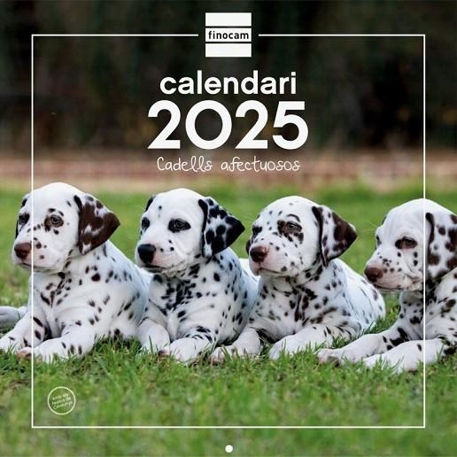 CALENDARI 2025 CADELLS | 8422952383451