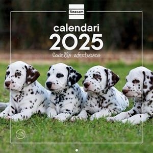 CALENDARI 2025 CADELLS | 8422952383451