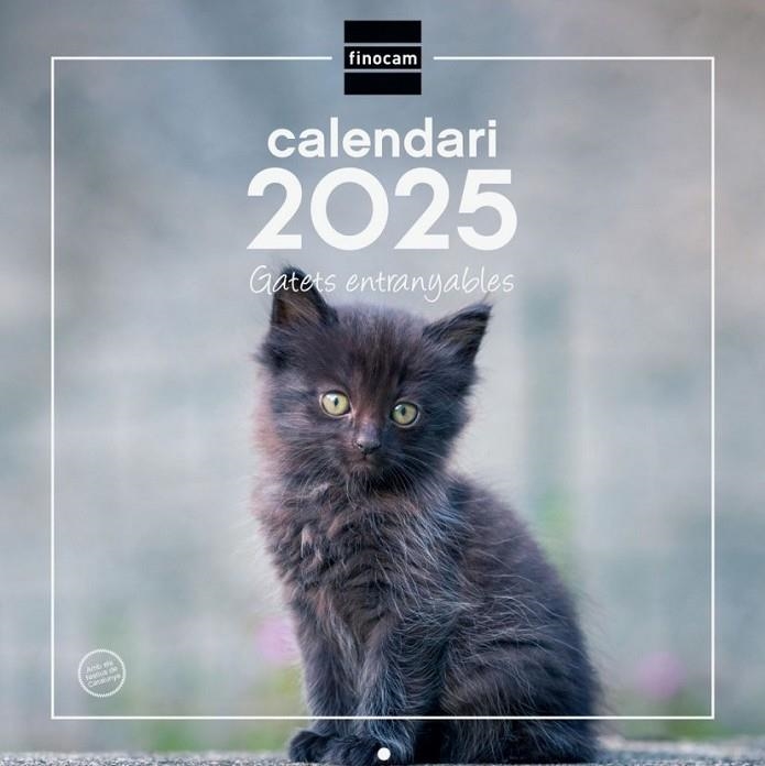 CALENDARI PARET 2025 GATET | 8422952383444