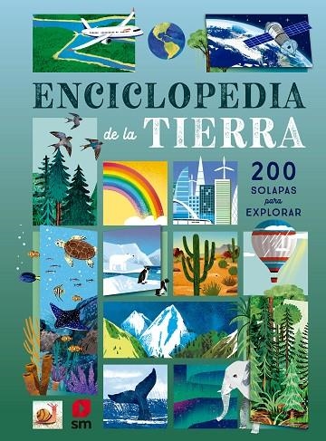 ENCICLOPEDIA DE LA TIERRA | 9788411822916 | MARTIN, RUTH