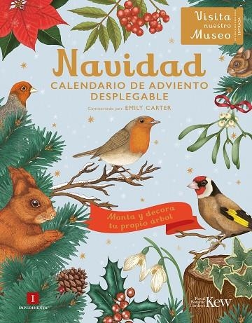 NAVIDAD - CALENDARIO DE ADVIENTO DESPLEGABLE | 9788419581624 | CARTER, EMILY