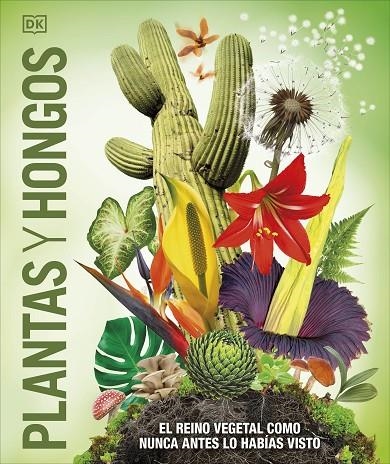 PLANTAS Y HONGOS (MUNDO 3D) | 9780241702956 | DK