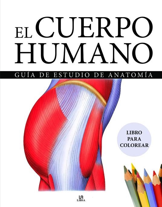 EL CUERPO HUMANO | 9788466243940 | EQUIPO EDITORIAL AMBER BOOKS