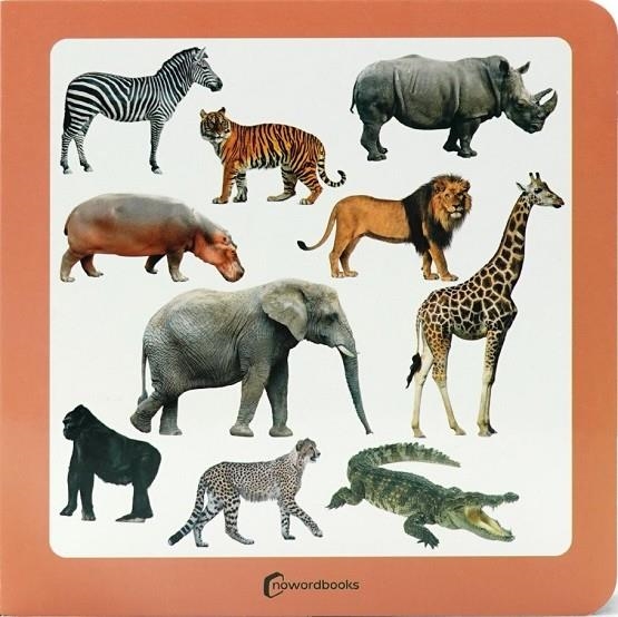 ANIMALS SALVATGES 3 | 9788412804362 | NOWORDBOOKS