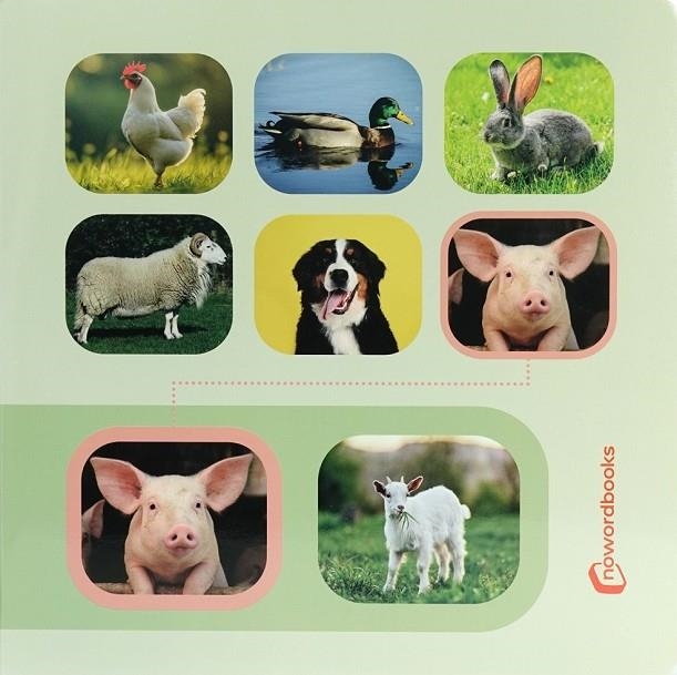 CERCA I TROBA. ANIMALS DE LA GRANJA | 9788412804393 | NOWORDBOOKS