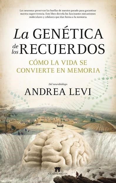 LA GENÉTICA DE LOS RECUERDOS | 9788419414540 | ANDREA LEVI