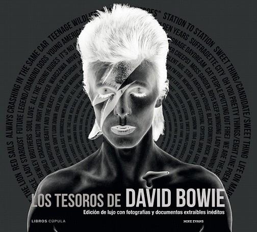 TESOROS DE DAVID BOWIE, LOS | 9788448008918 | MIKE EVANS