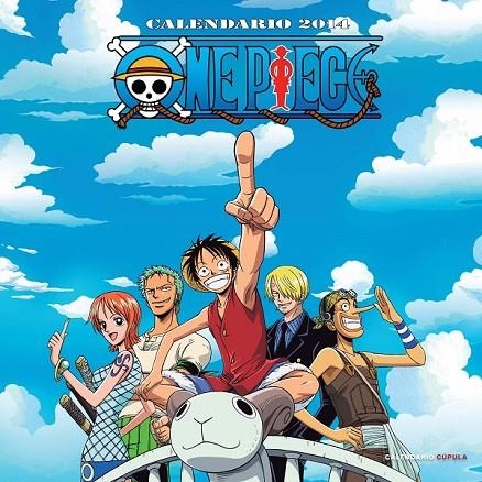 CALENDARIO ONE PIECE 2014 | 9788448011161 | VVAA