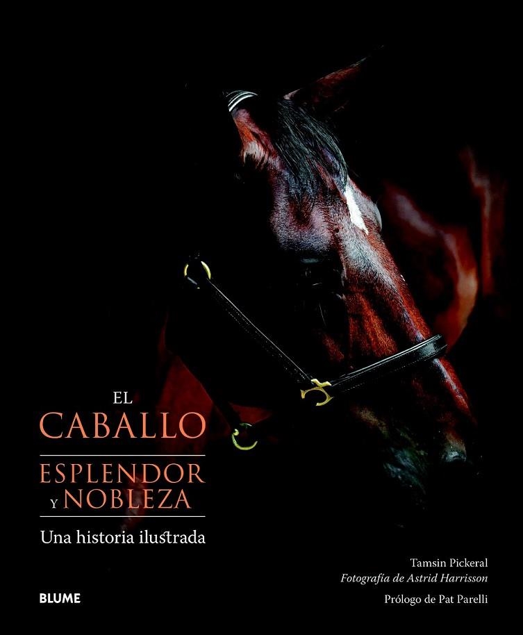 CABALLO ESPLENDOR Y BELLEZA, EL | 9788415317074 | PICKERAL, TAMSIN / HARRISSON, ASTRID