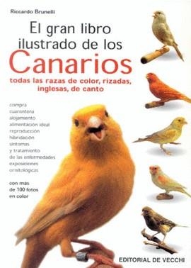 GRAN LIBRO ILUSTRADO DE LOS CANARIOS, EL | 9788431522032 | BRUNELLI, RICCARDO