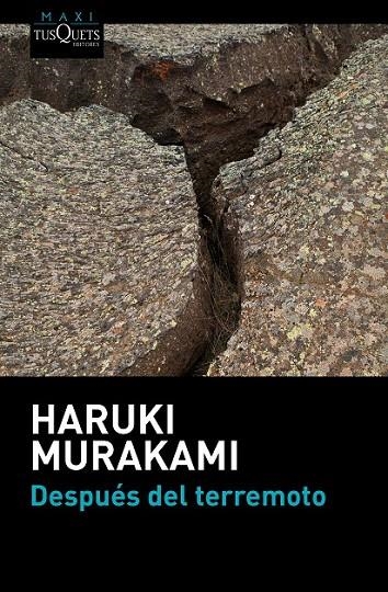 DESPUÉS DEL TERREMOTO | 9788483838891 | HARUKI MURAKAMI