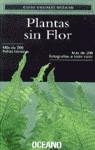 PLANTAS SIN FLOR | 9788449414213 | VV. AA.