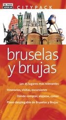 BRUSELAS Y BRUJAS CITYPACK | 9788403096189 | FERNANDEZ ALONSO, RAFAEL ,   TR.