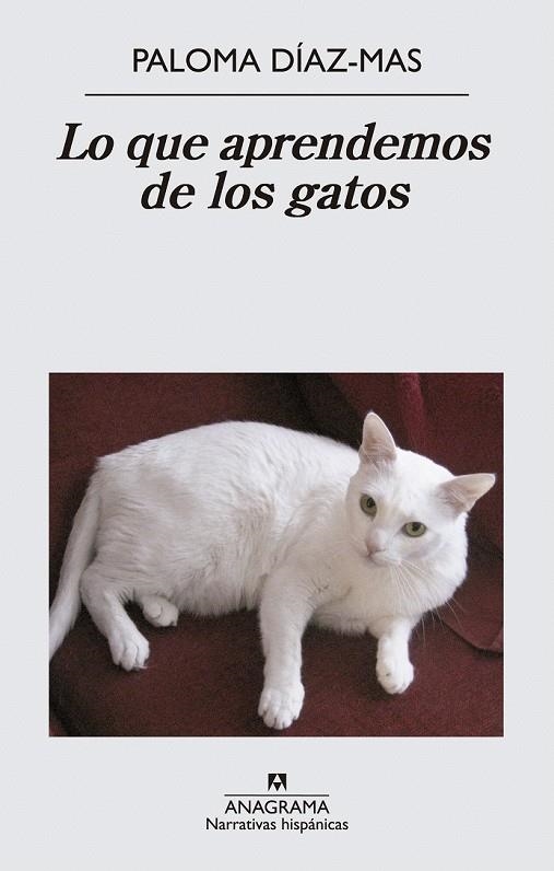 LO QUE APRENDEMOS DE LOS GATOS | 9788433997807 | DIAZ MAS, PALOMA