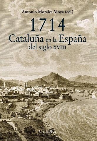 1714 CATALUÑA EN LA ESPAÑA DEL SIGLO XVIII | 9788437633145 | MORALES MOYA, ANTONIO