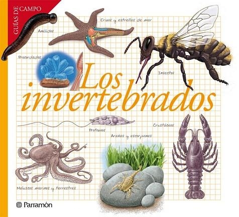 INVERTEBRADOS LOS | 9788434240599 | BARRES MANUEL, JOSEP M.