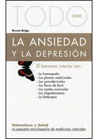 TODO SOBRE LA ANSIEDAD Y LA DEPRESION | 9788496194168 | BRIGO, BRUNO