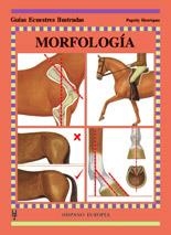 MORFOLOGIA | 9788425513695 | HENRIQUES, PEGOTTY