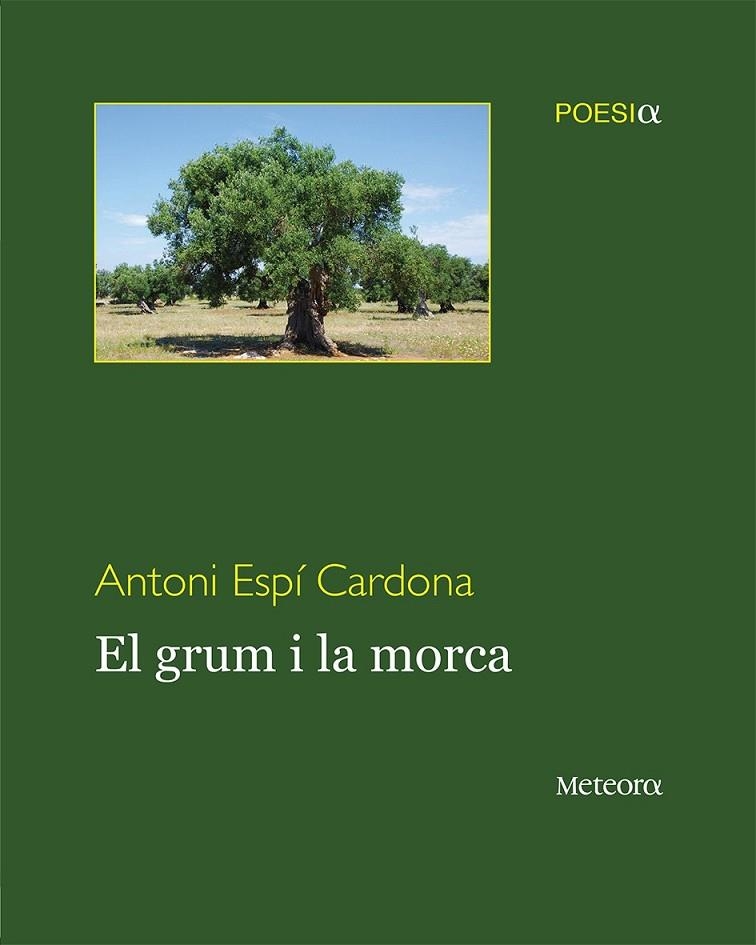 GRUM I LA MORCA, EL | 9788492874910 | ESPÍ CARDONA, ANTONI