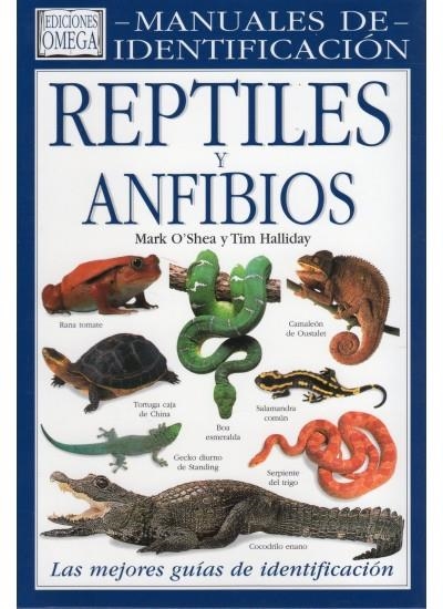 REPTILES Y ANFIBIOS | 9788428212021 | O´SHEA, MARK / HALLIDAY, TIM