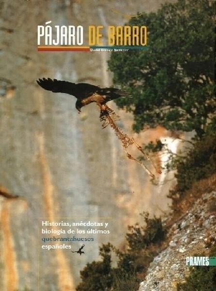 PAJAROS DE BARRO QUEBRANTAHUESOS ESPAÑOLES | 9788483210475 | GOMEZ SAMITIER, DAVID